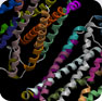 GPCR focused libraries