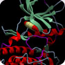 Kinase focused libraries