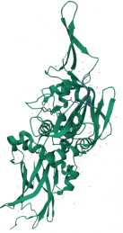 OTAVA tTG2 Inhibitor Library