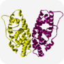 Phenotypic Screening Library