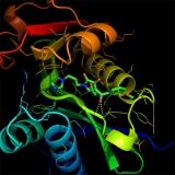Histone Acetyltransferase target-focused library