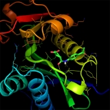 Histone Acetyltransferase target-focused library