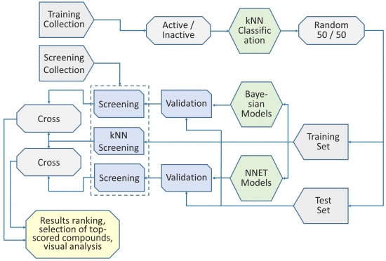 Design flowchart of ligand-based focused libraries