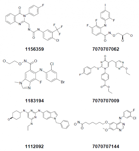 Representative structures from our collection