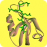 PDZ Domain Targeted Library