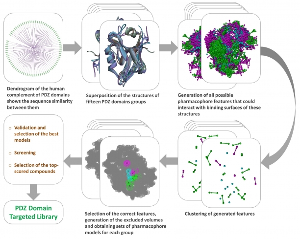 PDZ Domain Targeted Library