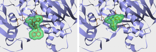 SARS-CoV-2 Helicase (NSP13) Targeted Library