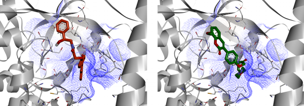 SARS-CoV-2 RdRp Targeted Library